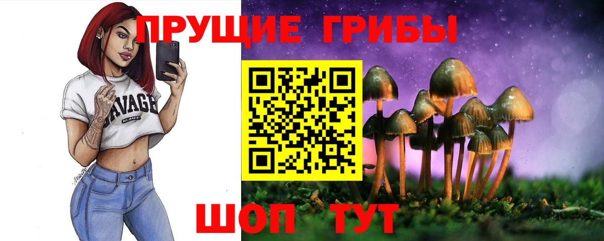 Галлюциногенные грибы мухоморы  Вход с VPN  Новоалтайск 