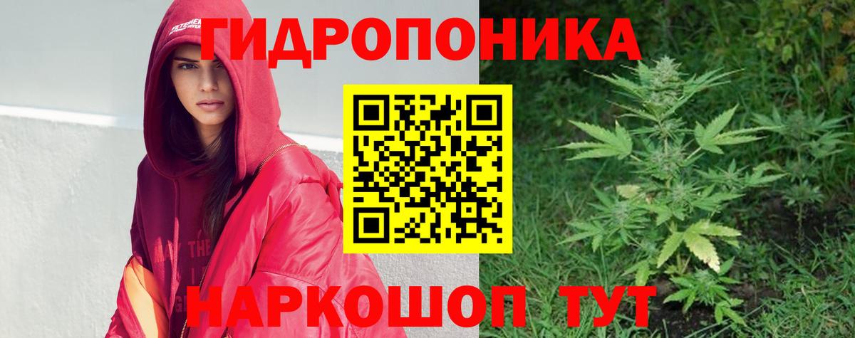 Марихуана марихуана Новоалтайск